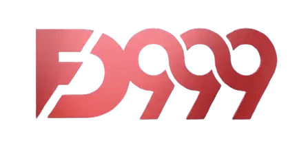 FD999 Game Site Logo